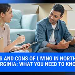 Pros and Cons of Living in Northern Virginia: What You Need to Know | MyProMovers